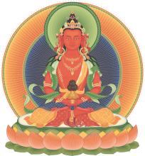 amitayus 2 transparent