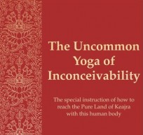 the uncommon yoga of inconceivability